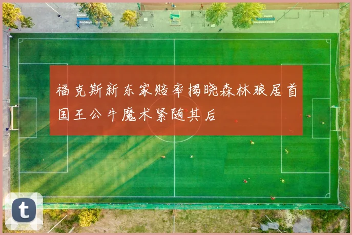福克斯新东家赔率揭晓森林狼居首国王公牛魔术紧随其后