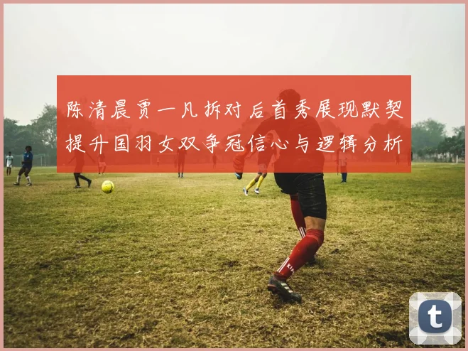 陈清晨贾一凡拆对后首秀展现默契提升国羽女双争冠信心与逻辑分析