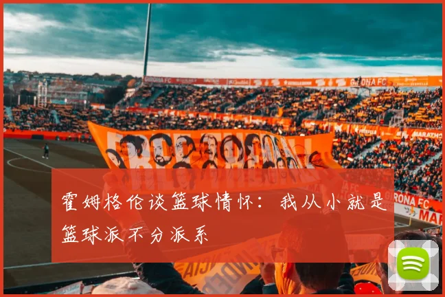 霍姆格伦谈篮球情怀：我从小就是篮球派不分派系